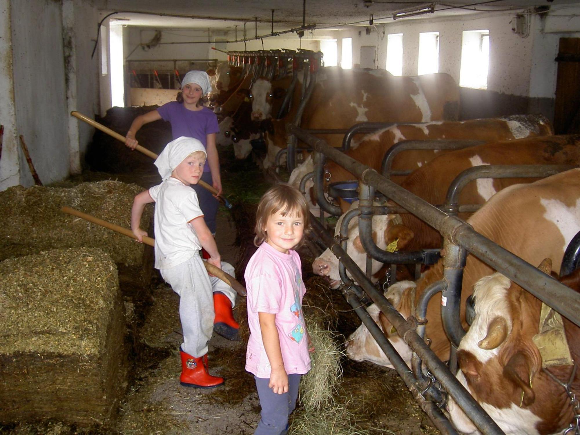 Vila Urlaub Am Bauernhof Wenigeder - Familie Klopf Gutau Exteriér fotografie