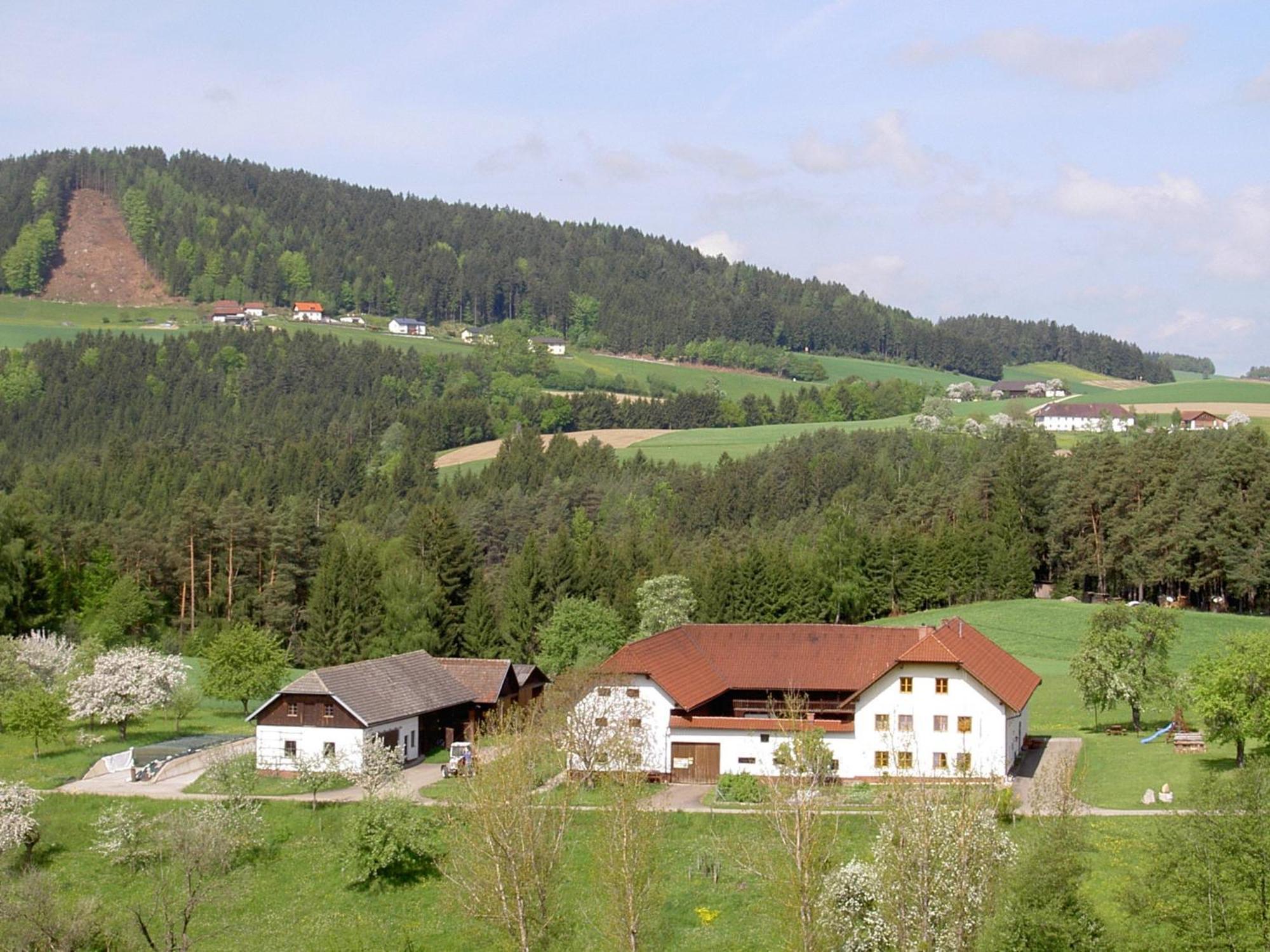Vila Urlaub Am Bauernhof Wenigeder - Familie Klopf Gutau Exteriér fotografie